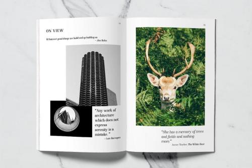 Night Still Comes Lite Serif Font 4