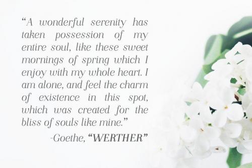 Night Still Comes Lite Serif Font 5