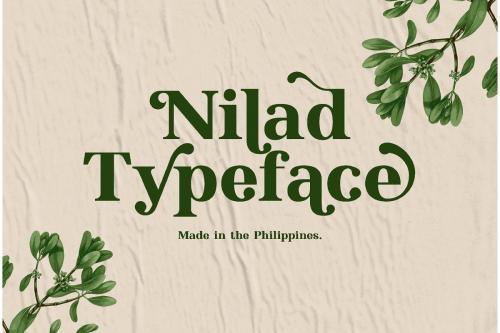 Nilad Modern Serif Typeface 1