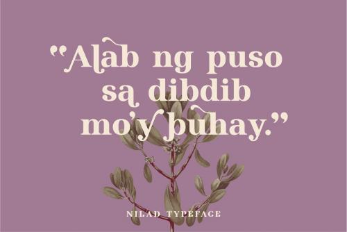 Nilad Modern Serif Typeface 10