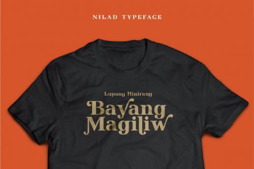 Nilad Modern Serif Typeface 11