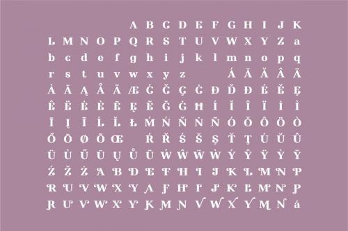 Nilad Modern Serif Typeface 2