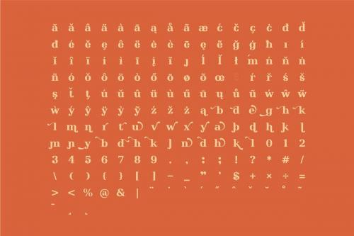 Nilad Modern Serif Typeface 3