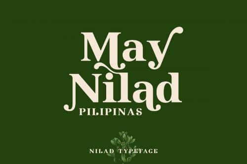 Nilad Modern Serif Typeface 4