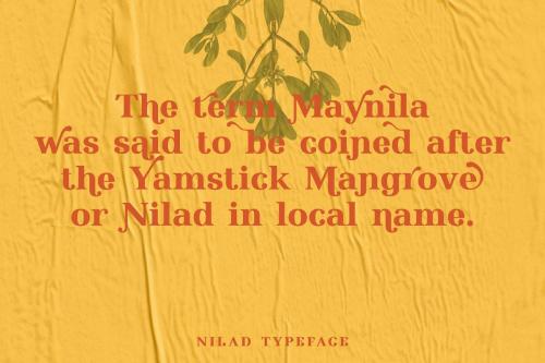 Nilad Modern Serif Typeface 5