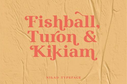 Nilad Modern Serif Typeface 9