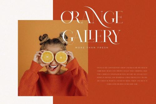 Nomark Serif Ligature Typeface  1