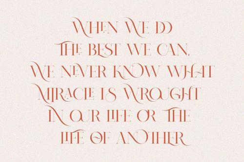 Nomark Serif Ligature Typeface  8