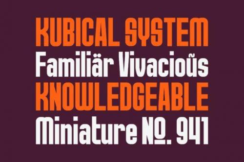 Norch Sans Serif Font 6