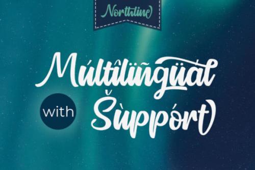 Northline Script Font 12