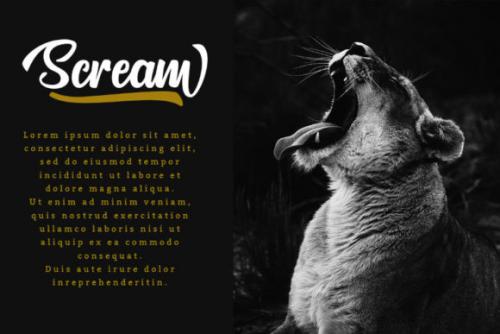 Northline Script Font 5