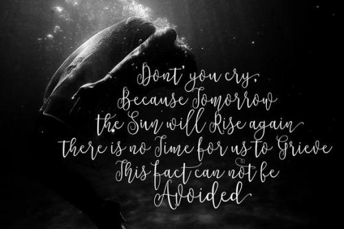 Notulen Font Free  3