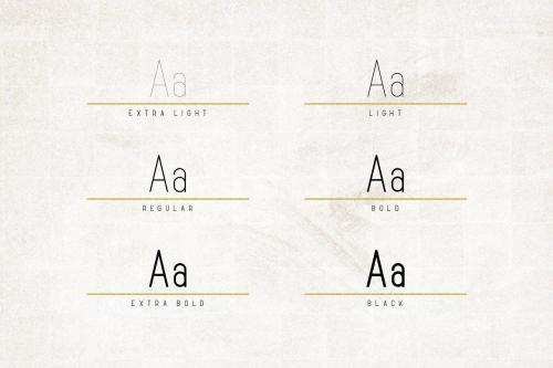 Opinio Sans Font Family 2