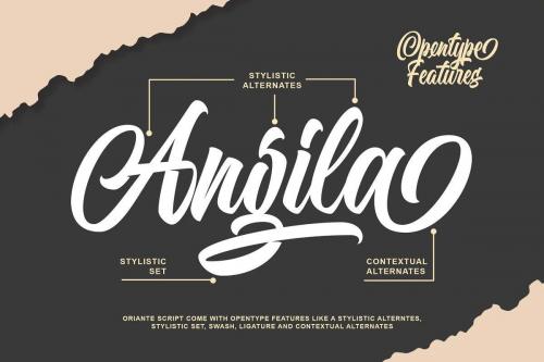Orlande Script Font 5