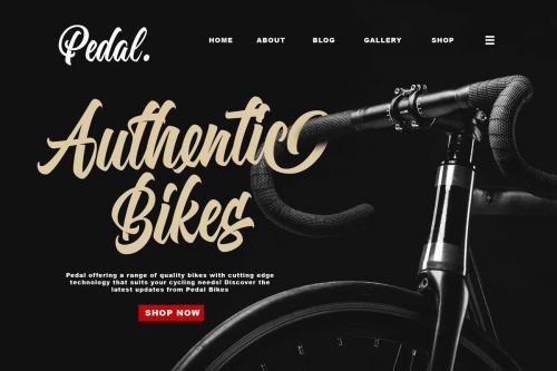 Orlande Script Font 8