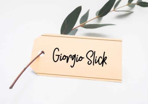 Orlando Handwritten Font  4