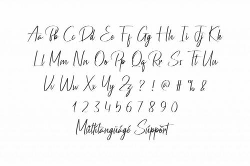 Pandemi Siganture Font 1