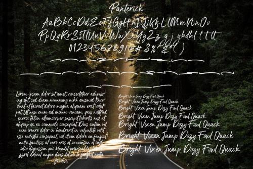 Panterick Brush Font 8