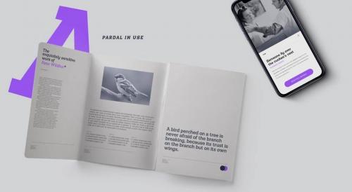 Pardal Font Family 6