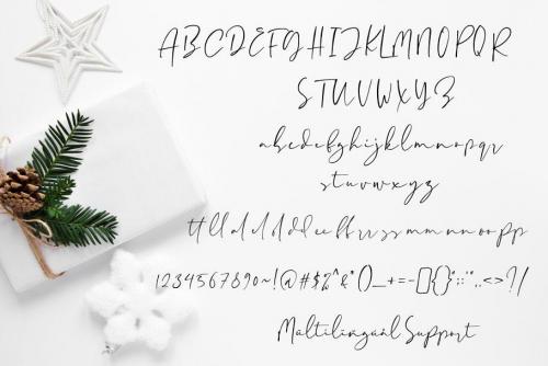 Paris Tonight Signature Font  10