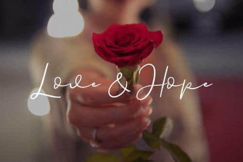 Paulina Elegance Script Font 7