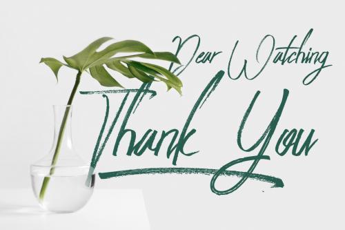 Peace Maker Brush Font  13