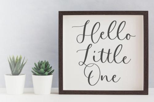 Perfect Garden Modern Handwritten Font  3