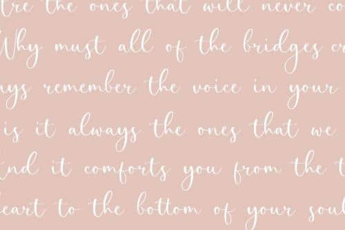 Perfect Garden Modern Handwritten Font  4