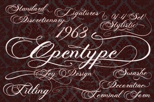 Photograph Script Font 2