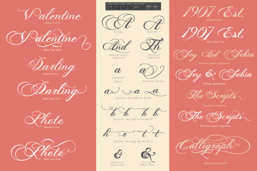 Photograph Script Font 3