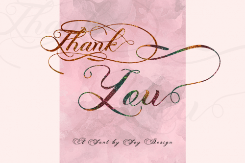 Photograph Script Font 8