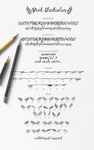 Pink Gladiolus Font 7