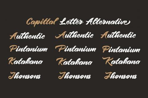 Pintenium Brush Font 8
