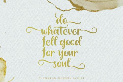 Plankton Calligraphy Script Font 2