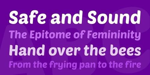 Poetsen One Sans Font  1