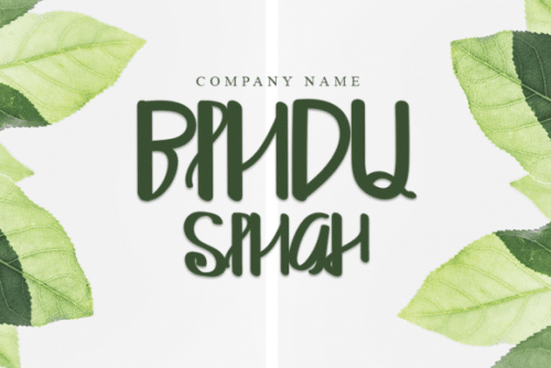 Pords Queens Script Font 1