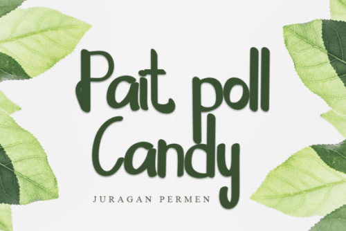 Pords Queens Script Font 4