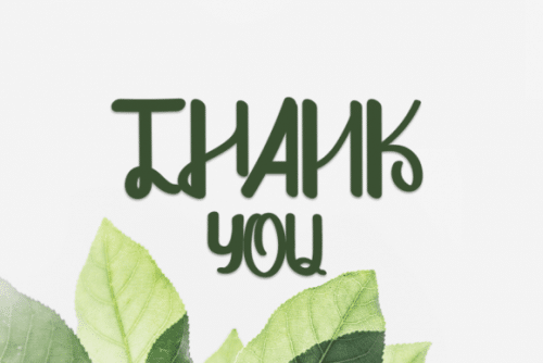 Pords Queens Script Font 6