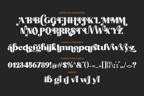 Prima Luxury Typeface 12