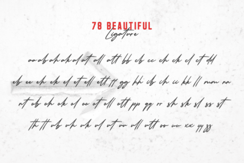 Qonquer Millanova Duo Font 12