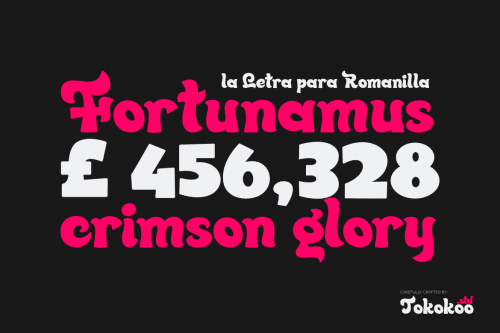 Quincy Jhons Bold Script Font 5