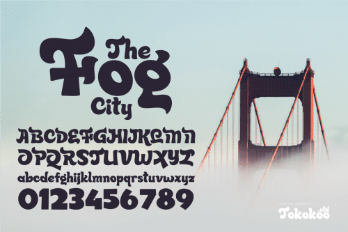 Quincy Jhons Bold Script Font 6