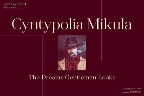 Qwenzy Elegant Serif Font 4