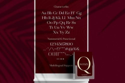 Qwenzy Elegant Serif Font 8
