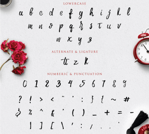 ROWO-Brush-Font-Free--4
