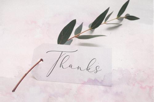 Rachela Script Font 16