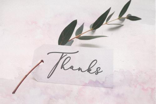 Rachela Script Font 17