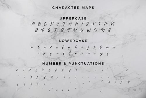 Rachelyne Modern Calligraphy Font 14