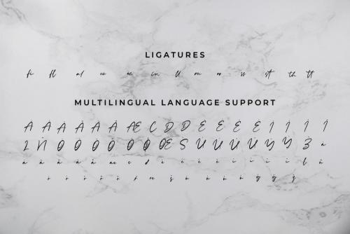 Rachelyne Modern Calligraphy Font 15