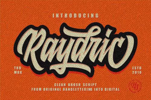 Raydric Script Font 1